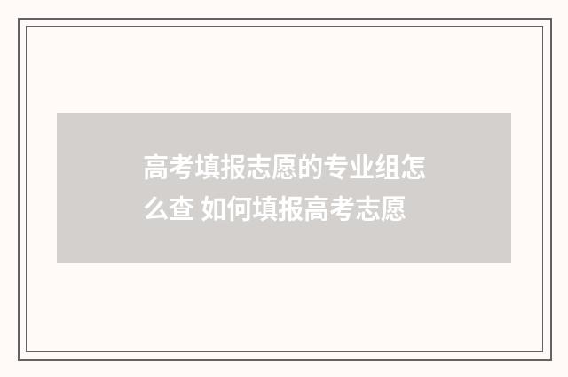 高考填报志愿的专业组怎么查 如何填报高考志愿