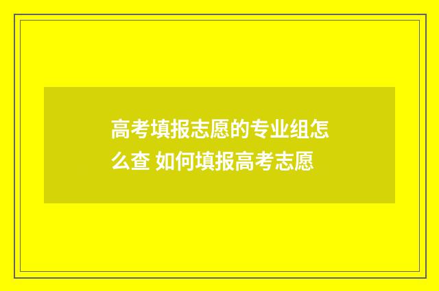 高考填报志愿的专业组怎么查 如何填报高考志愿