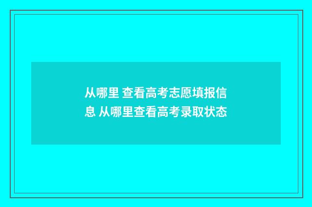 从哪里 查看高考志愿填报信息 从哪里查看高考录取状态