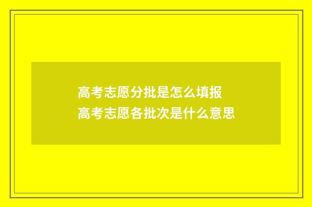 高考志愿分批是怎么填报 高考志愿各批次是什么意思