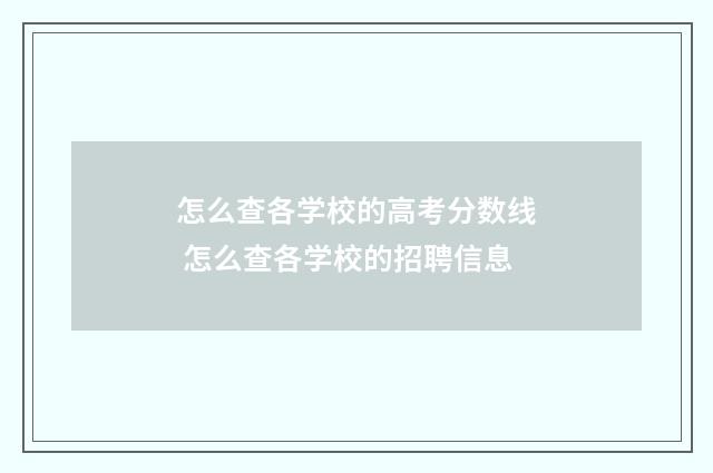 怎么查各学校的高考分数线 怎么查各学校的招聘信息