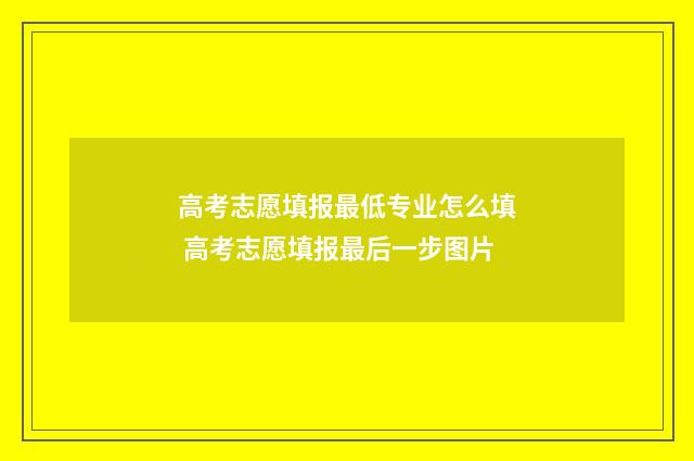 高考志愿填报最低专业怎么填 高考志愿填报最后一步图片