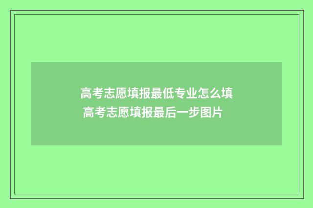 高考志愿填报最低专业怎么填 高考志愿填报最后一步图片