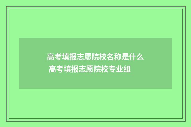 高考填报志愿院校名称是什么 高考填报志愿院校专业组
