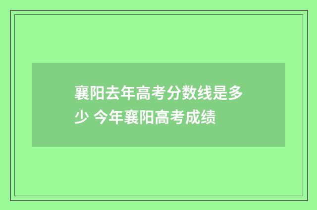 襄阳去年高考分数线是多少 今年襄阳高考成绩