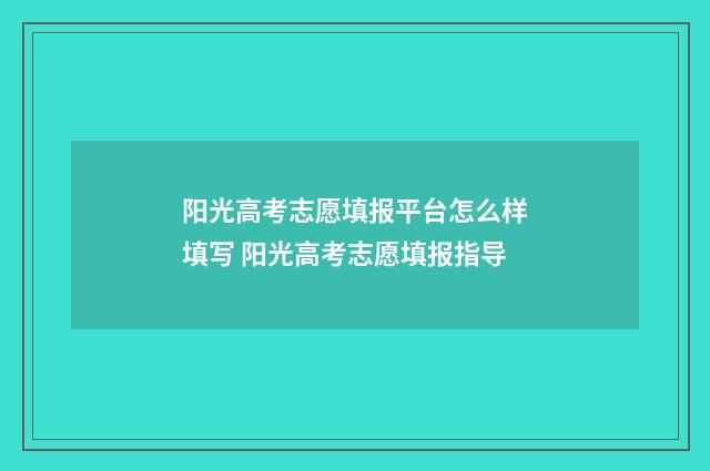 阳光高考志愿填报平台怎么样填写 阳光高考志愿填报指导