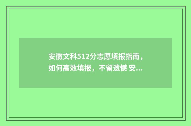 安徽文科512分志愿填报指南，如何高效填报，不留遗憾 安徽文科594分