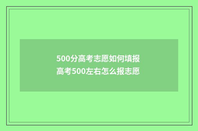 500分高考志愿如何填报 高考500左右怎么报志愿