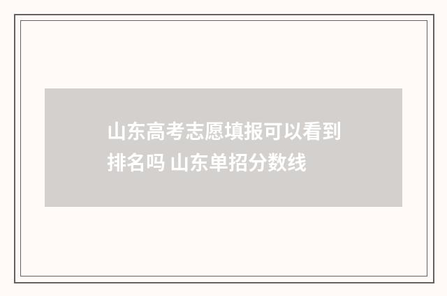 山东高考志愿填报可以看到排名吗 山东单招分数线