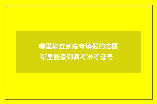 哪里能查到高考填报的志愿 哪里能查到高考准考证号
