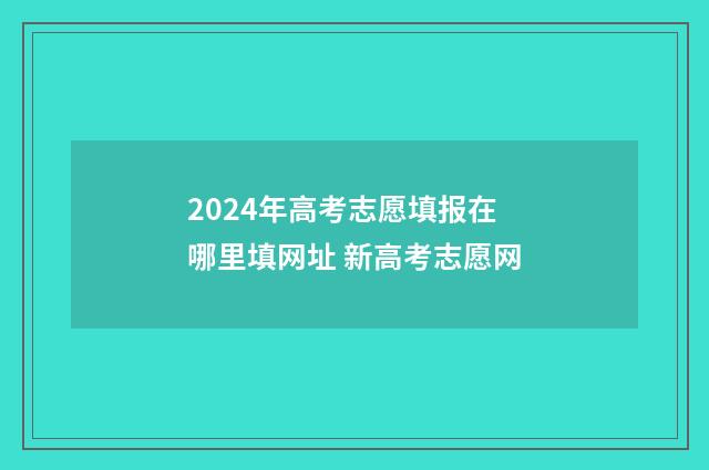 2024年高考志愿填报在哪里填网址 新高考志愿网