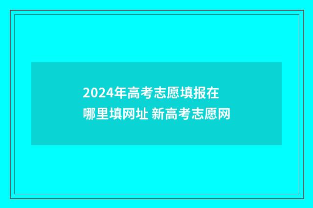 2024年高考志愿填报在哪里填网址 新高考志愿网