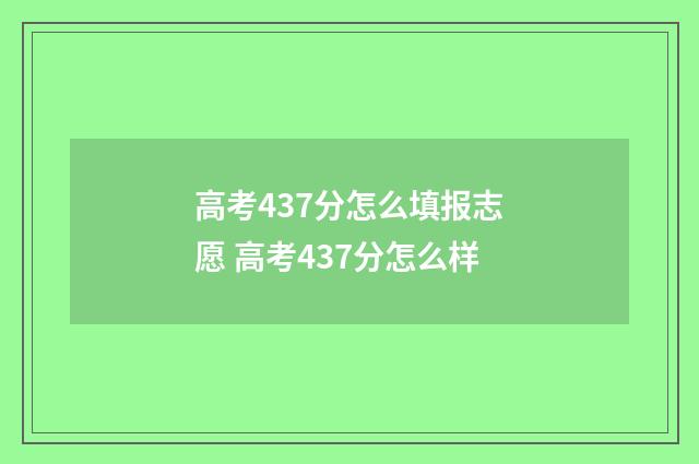 高考437分怎么填报志愿 高考437分怎么样