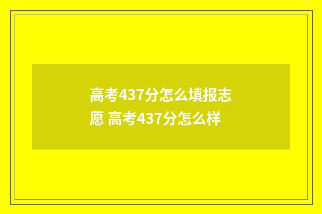 高考437分怎么填报志愿 高考437分怎么样