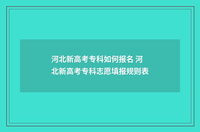 河北新高考专科如何报名 河北新高考专科志愿填报规则表