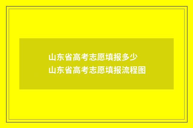 山东省高考志愿填报多少 山东省高考志愿填报流程图