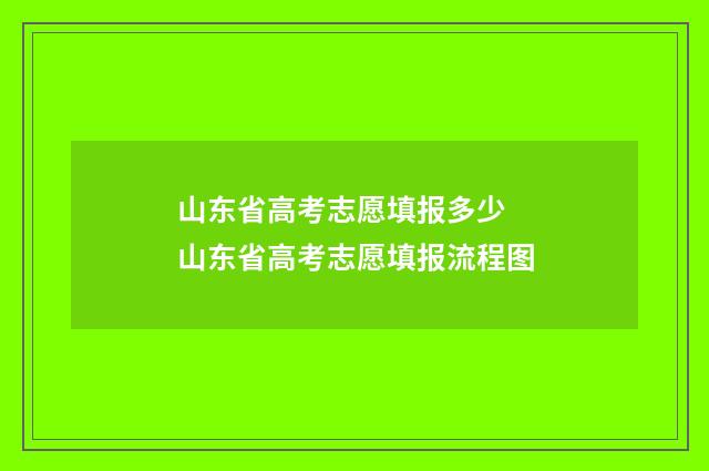 山东省高考志愿填报多少 山东省高考志愿填报流程图
