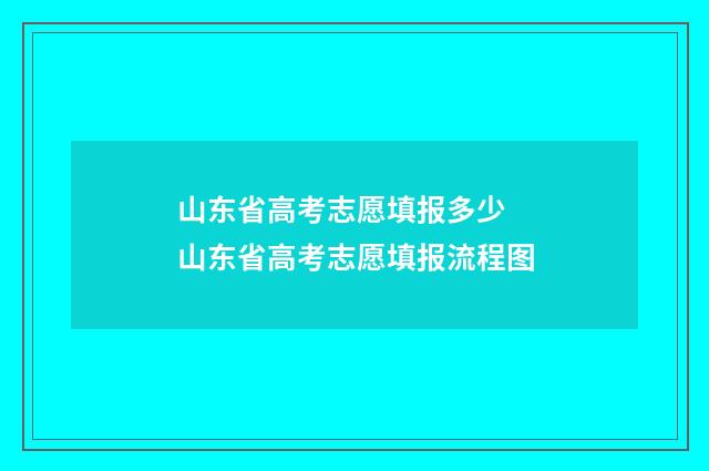 山东省高考志愿填报多少 山东省高考志愿填报流程图