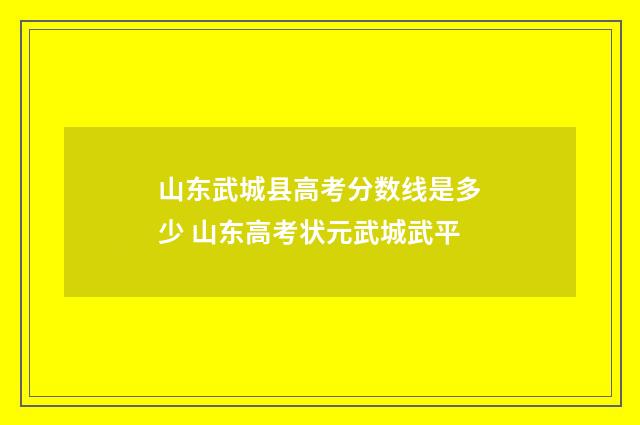 山东武城县高考分数线是多少 山东高考状元武城武平