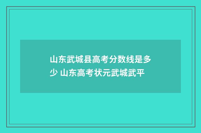 山东武城县高考分数线是多少 山东高考状元武城武平