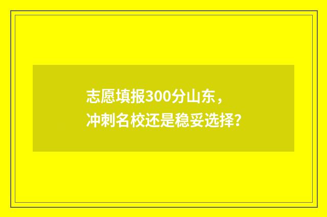 志愿填报300分山东，冲刺名校还是稳妥选择？
