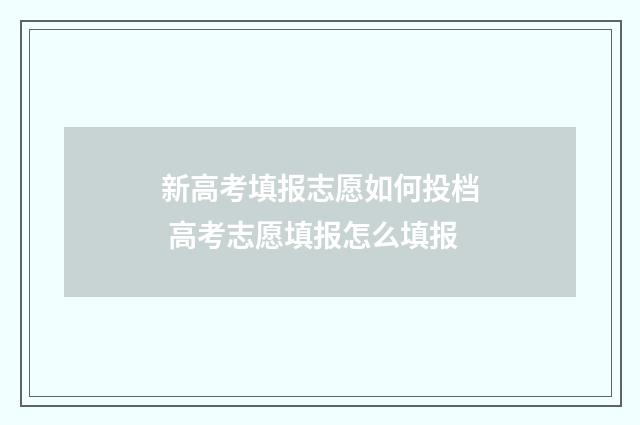 新高考填报志愿如何投档 高考志愿填报怎么填报