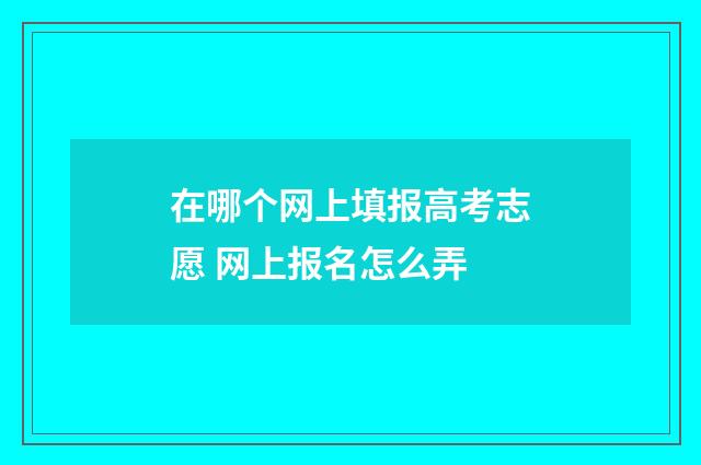 在哪个网上填报高考志愿 网上报名怎么弄