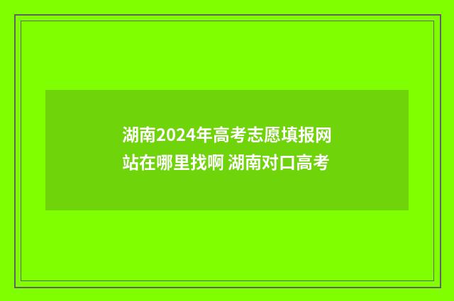 湖南2024年高考志愿填报网站在哪里找啊 湖南对口高考