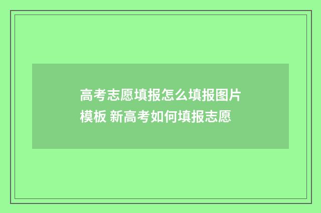 高考志愿填报怎么填报图片模板 新高考如何填报志愿