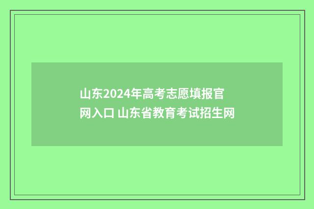 山东2024年高考志愿填报官网入口 山东省教育考试招生网