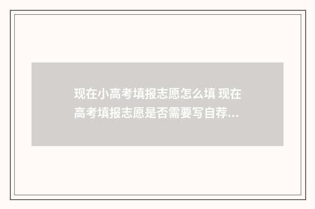 现在小高考填报志愿怎么填 现在高考填报志愿是否需要写自荐信呢