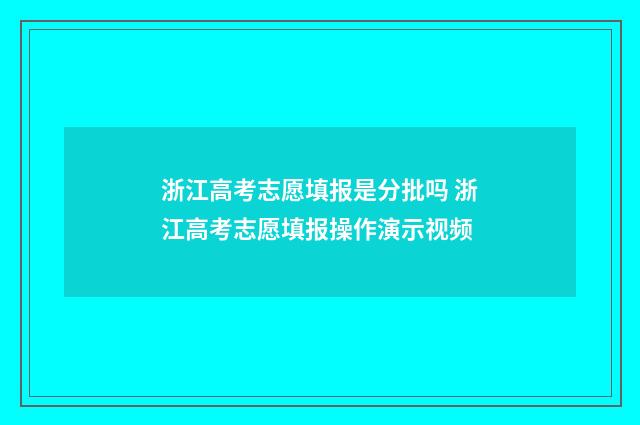 浙江高考志愿填报是分批吗 浙江高考志愿填报操作演示视频