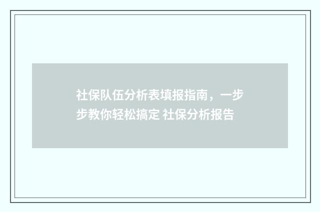 社保队伍分析表填报指南，一步步教你轻松搞定 社保分析报告
