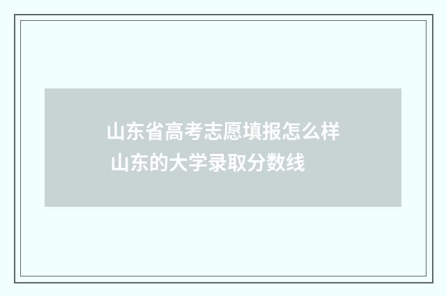 山东省高考志愿填报怎么样 山东的大学录取分数线
