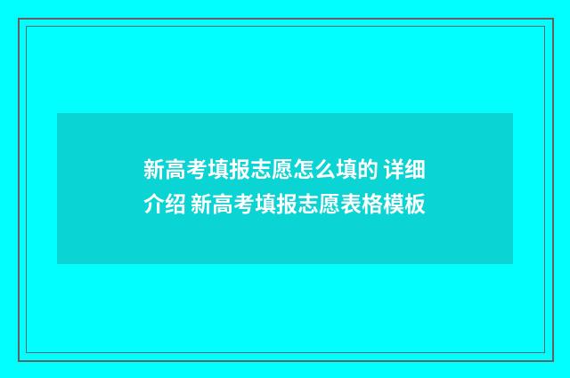 新高考填报志愿怎么填的 详细介绍 新高考填报志愿表格模板