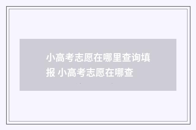 小高考志愿在哪里查询填报 小高考志愿在哪查