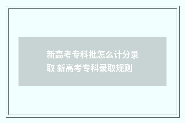 新高考专科批怎么计分录取 新高考专科录取规则