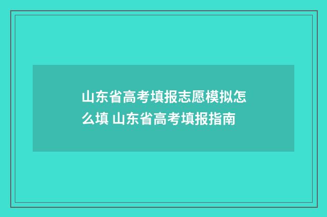 山东省高考填报志愿模拟怎么填 山东省高考填报指南