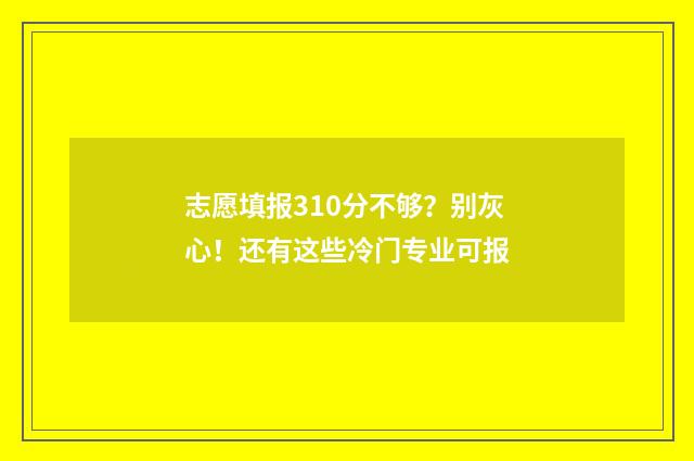 志愿填报310分不够？别灰心！还有这些冷门专业可报