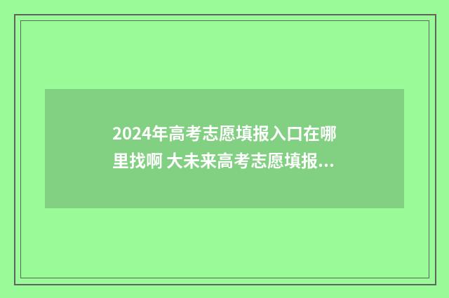 2024年高考志愿填报入口在哪里找啊 大未来高考志愿填报官网