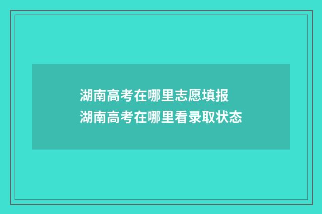 湖南高考在哪里志愿填报 湖南高考在哪里看录取状态