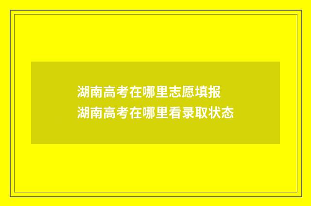 湖南高考在哪里志愿填报 湖南高考在哪里看录取状态