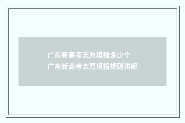广东新高考志愿填报多少个 广东新高考志愿填报规则讲解