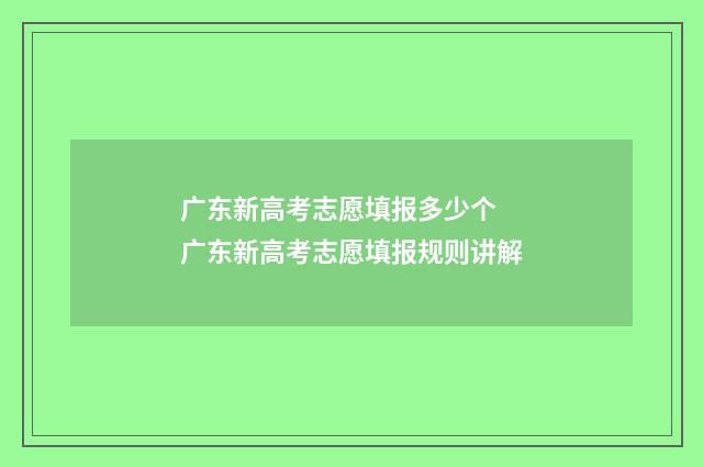 广东新高考志愿填报多少个 广东新高考志愿填报规则讲解