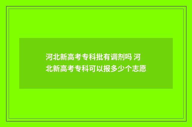 河北新高考专科批有调剂吗 河北新高考专科可以报多少个志愿