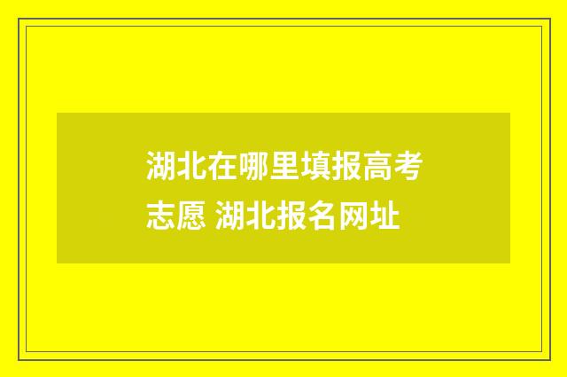 湖北在哪里填报高考志愿 湖北报名网址