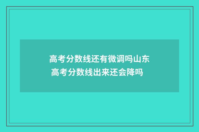 高考分数线还有微调吗山东 高考分数线出来还会降吗