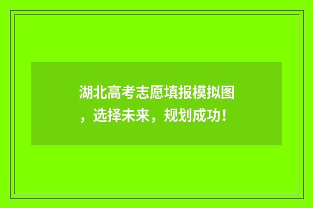 湖北高考志愿填报模拟图，选择未来，规划成功！