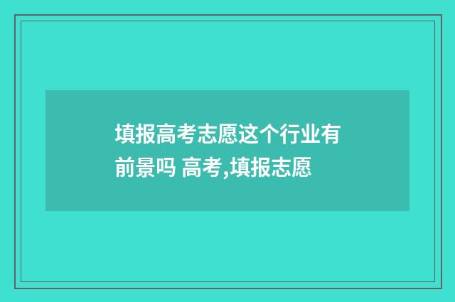 填报高考志愿这个行业有前景吗 高考,填报志愿