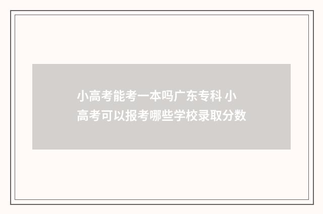 小高考能考一本吗广东专科 小高考可以报考哪些学校录取分数